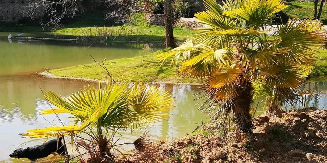 Les Amis De Gaure Daire Rouffiac-d'Aude Dış mekan fotoğraf